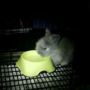 Meet your Posher, Terry